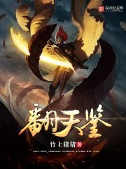 翻天鑑